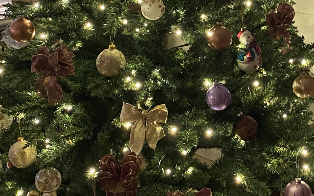 God Jul och Gott Nytt År önskar styrelsen till alla medlemmar!